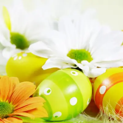 Offerta Pasqua in Hotel a Bellaria